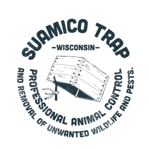 https://suamicotrap.com/wp-content/uploads/2023/03/cropped-Thumbnail-Trap-Logo-1.png